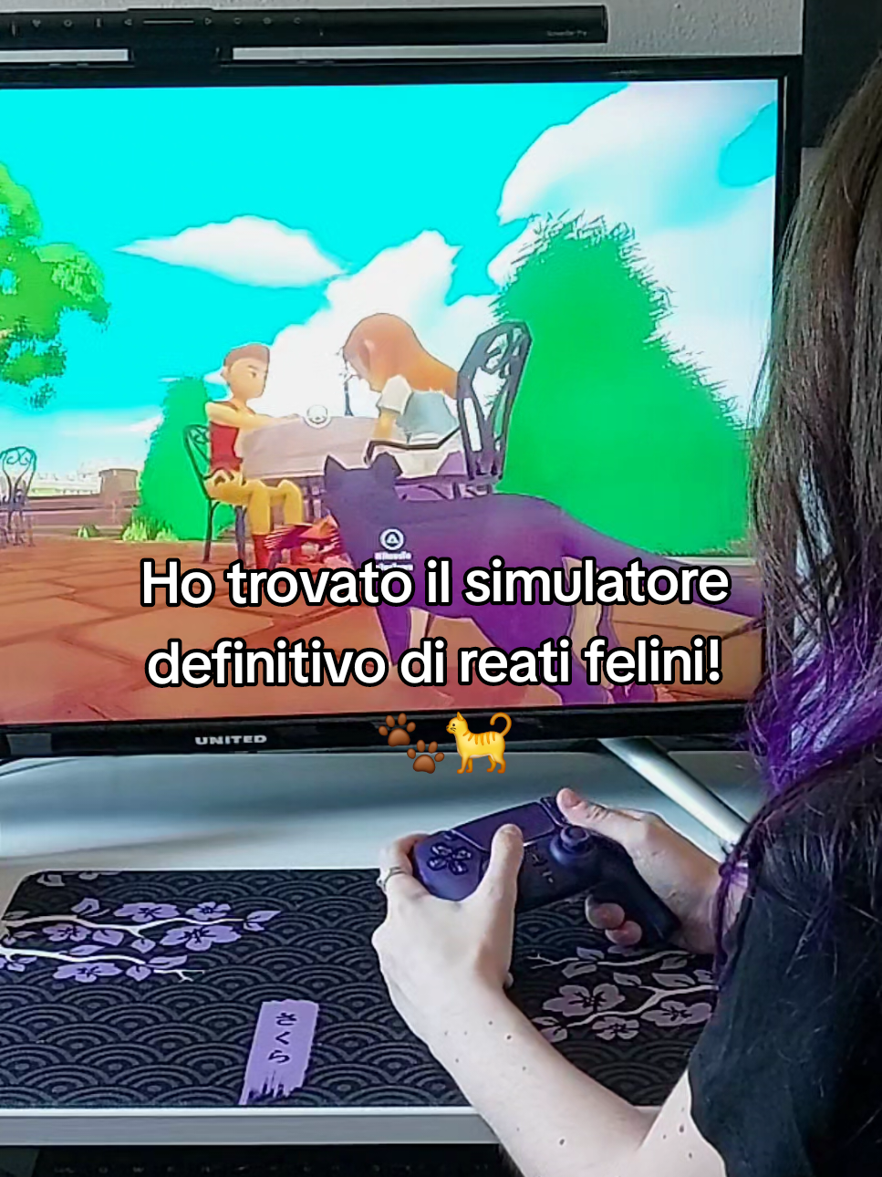 @Rin 🎮