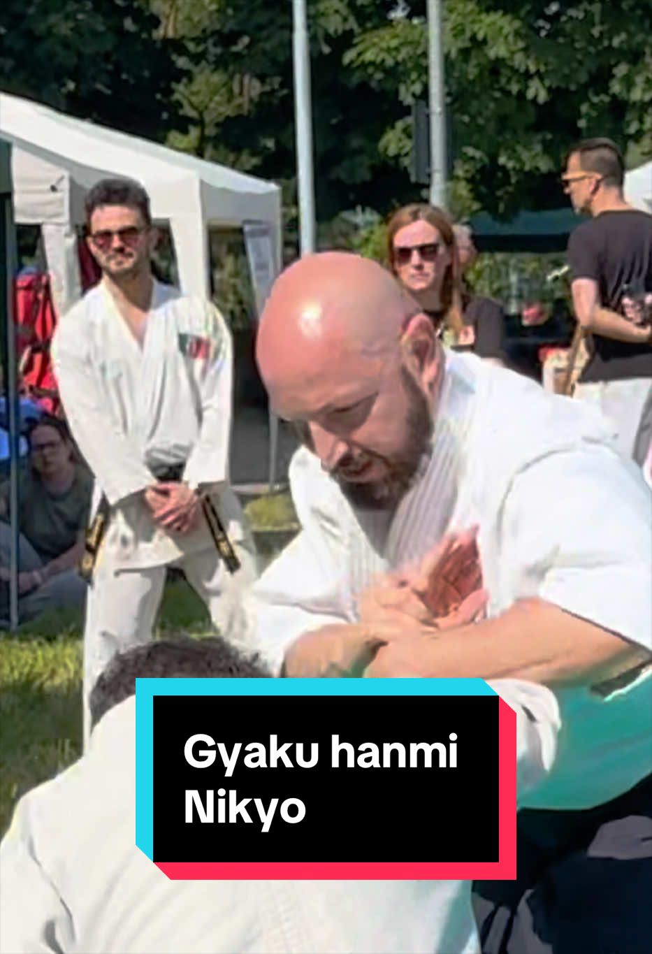 @AikiLuigi