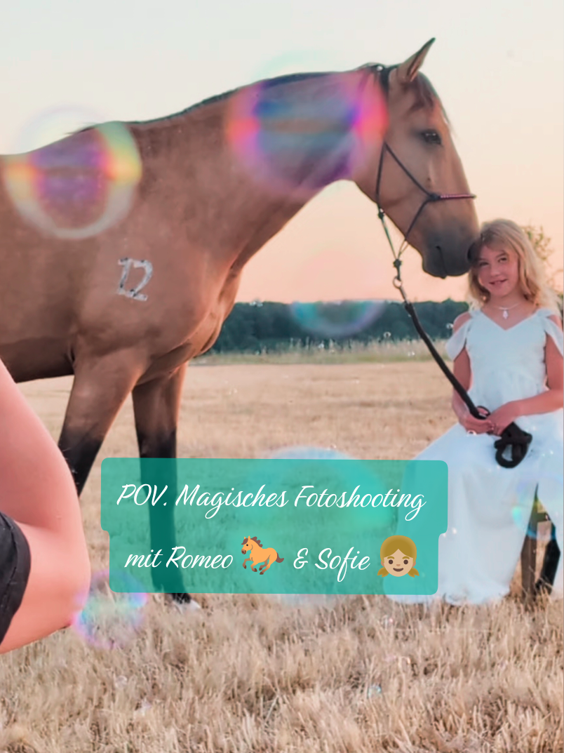@Caro_Sofie_Offenstallliebe