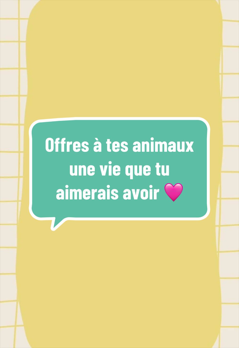 @Mes lapinouchs 🐰🐹