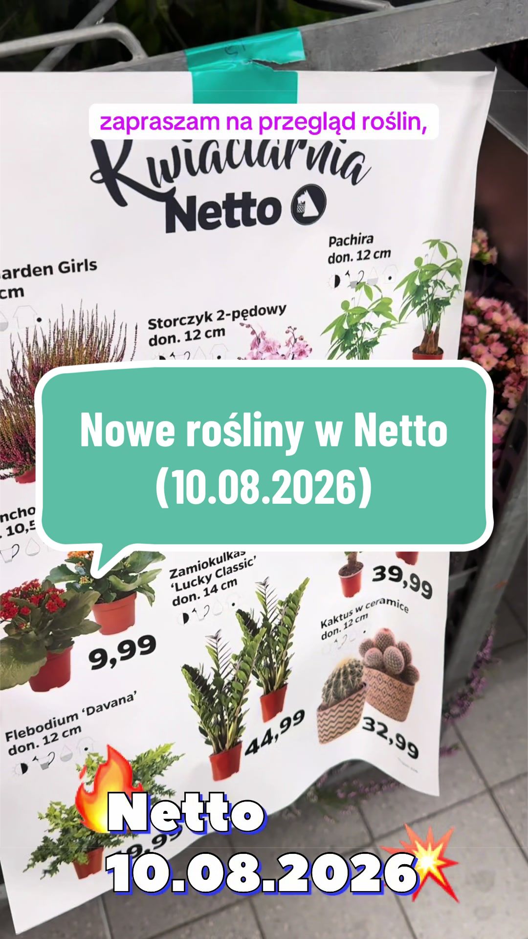 @maciej.plants