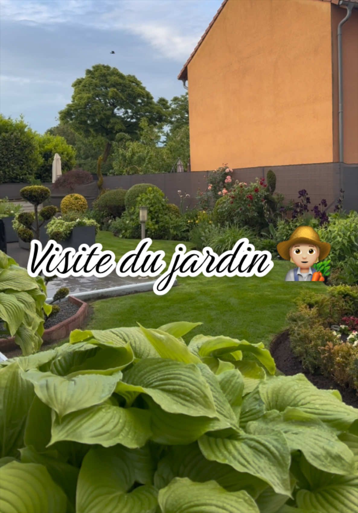 @Jardin de Rémi