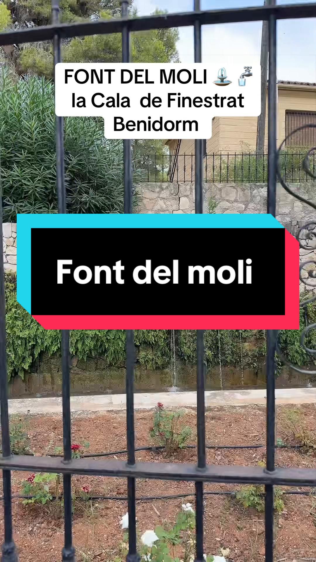 @Karim Benidorm 🇪🇦🇩🇿