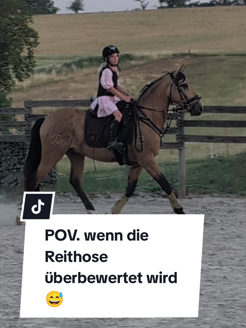 @Caro_Sofie_Offenstallliebe