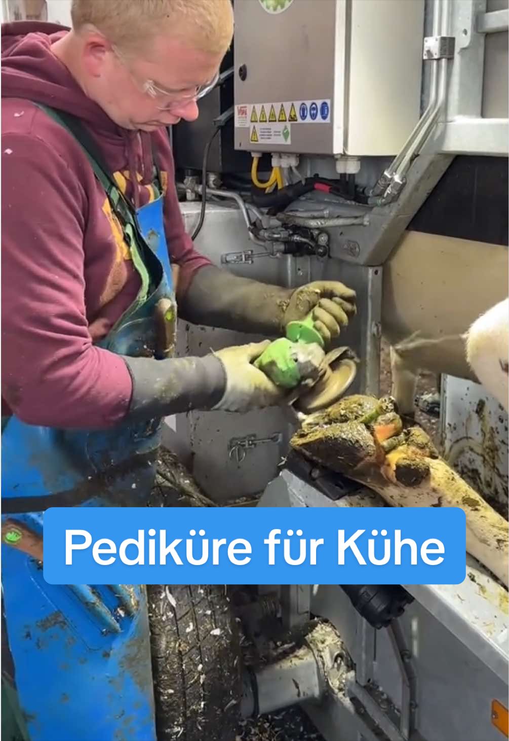@Ostfriesen-Zeitung 🗞️