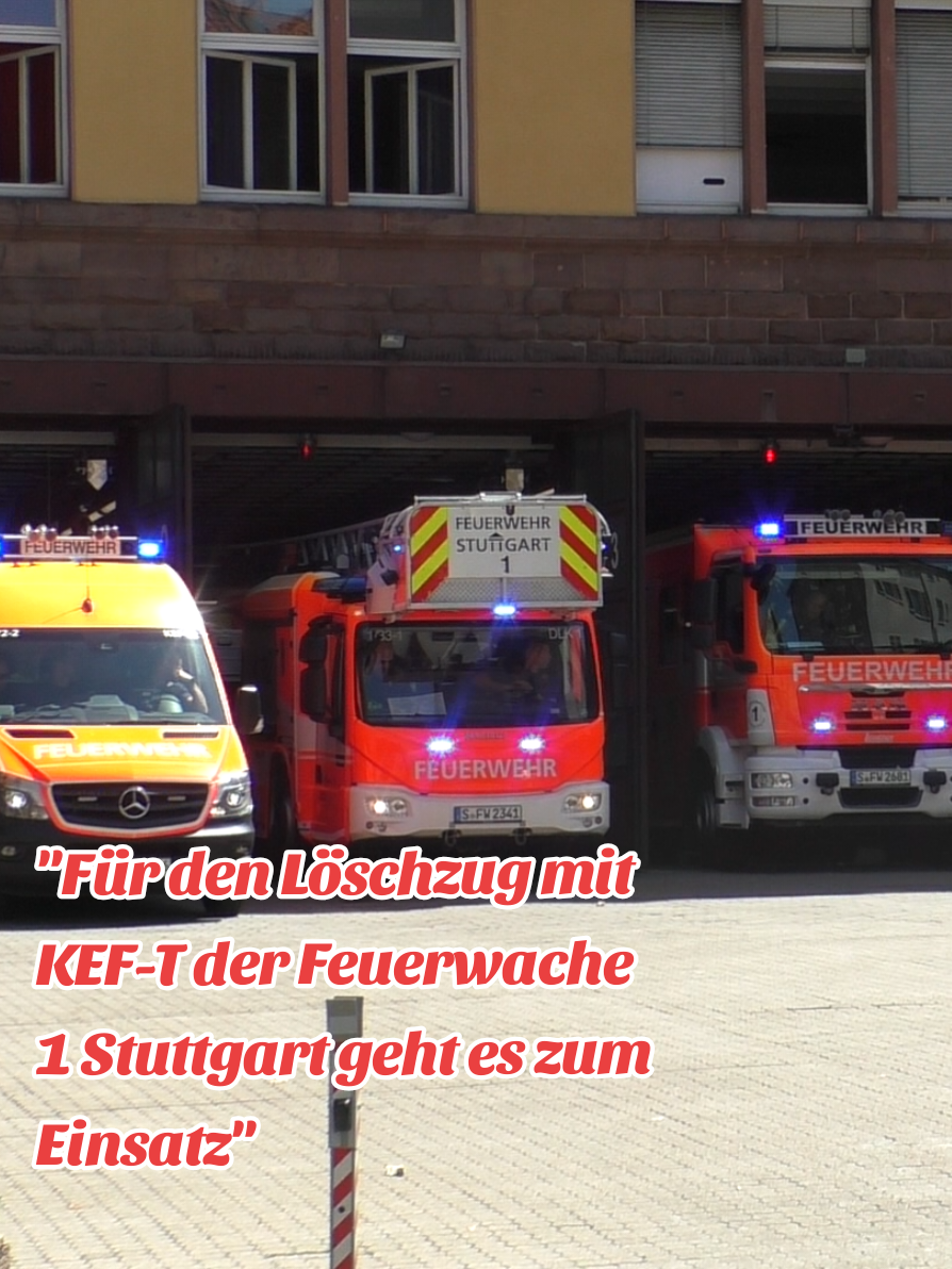 @Einsatzfahrten_Sachsen
