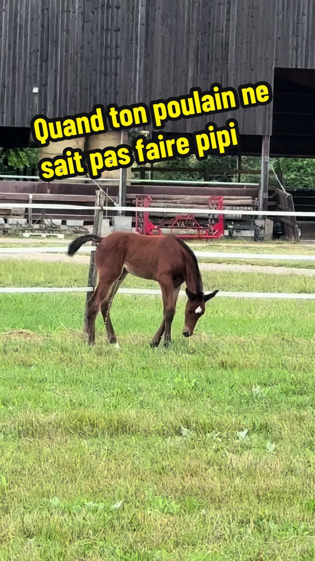 @Domaine de Saint Ex