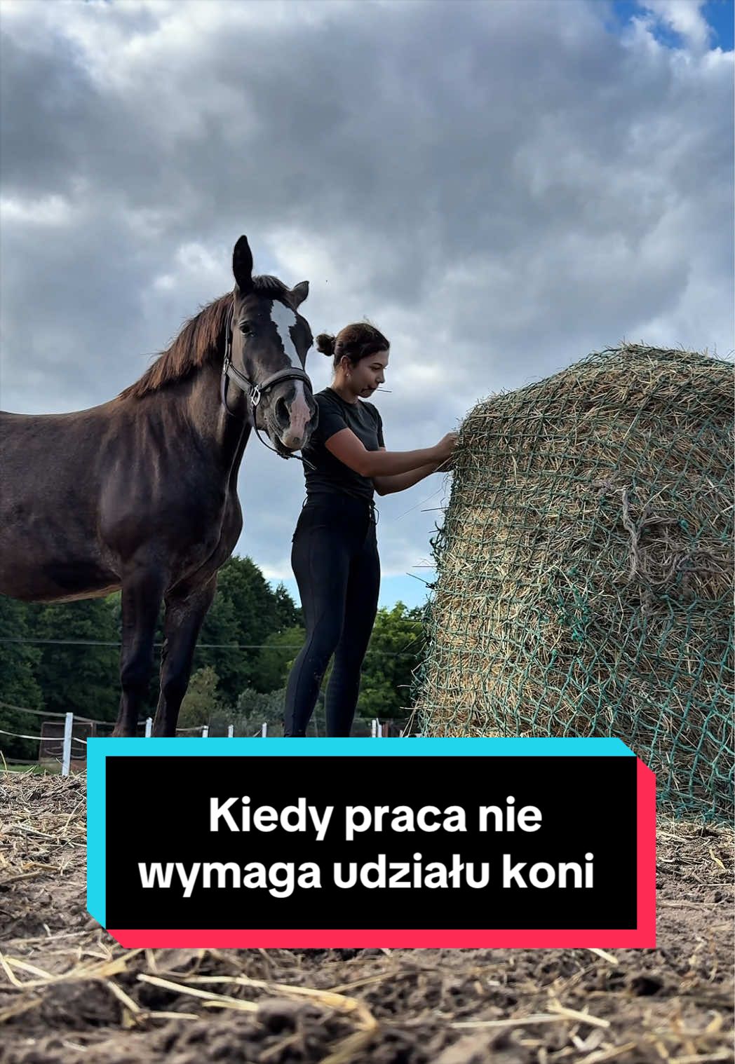 @Stado_Belli