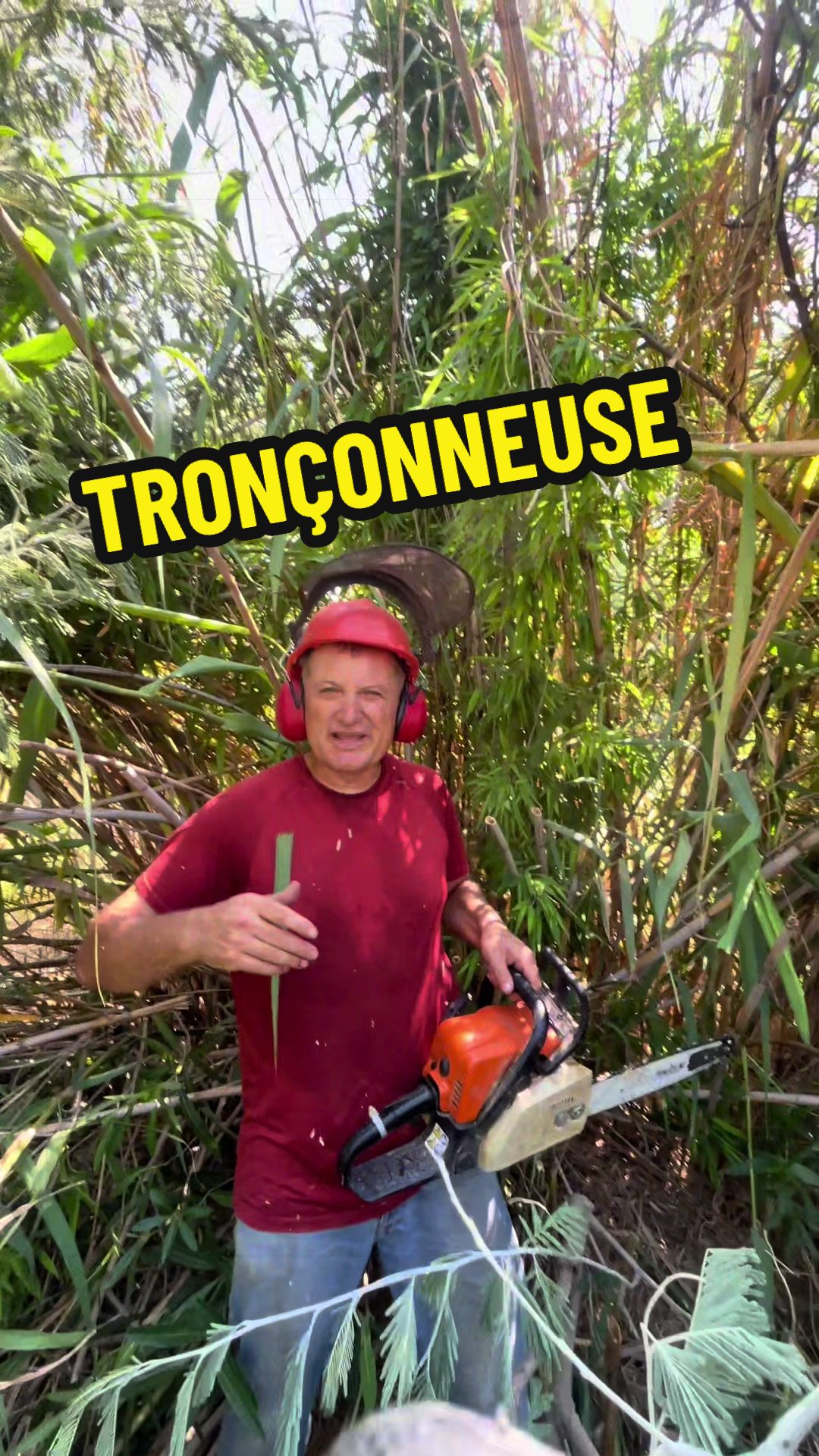 @Gianni pokefficiel