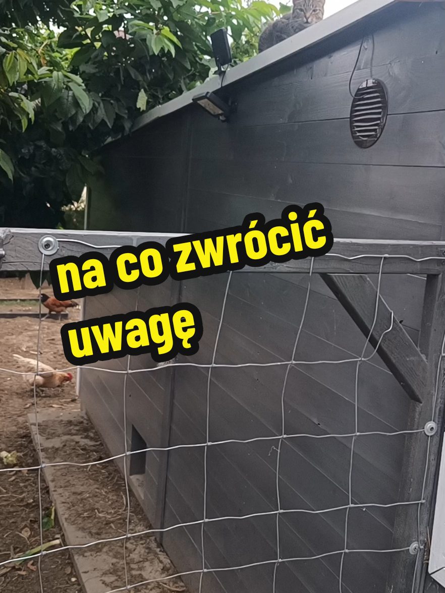 @Marcin ogrodnik