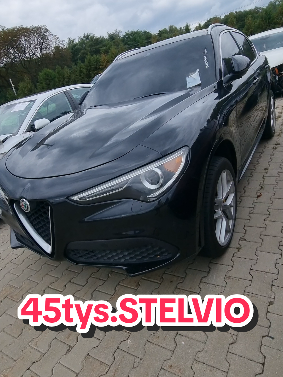 @Marcinzmotoleader