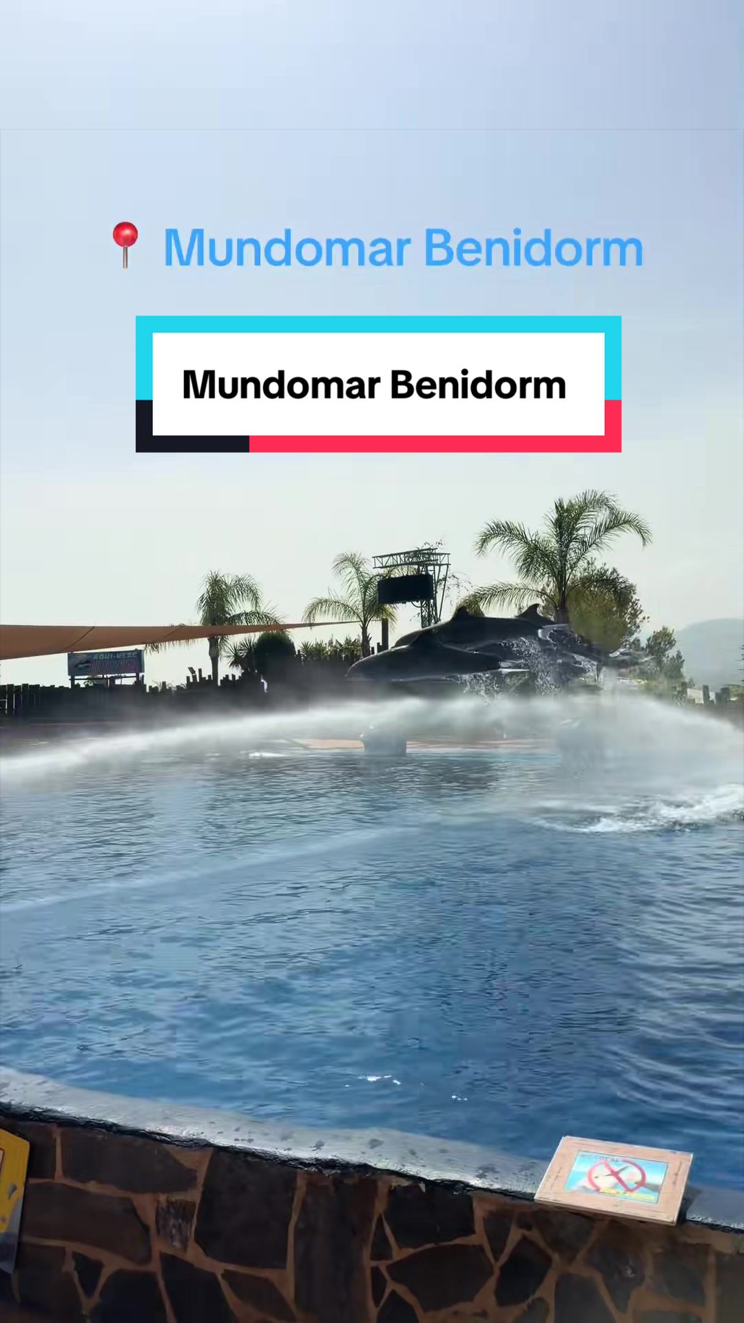 @Karim Benidorm ๐ช๐ฆ๐ฉ๐ฟ