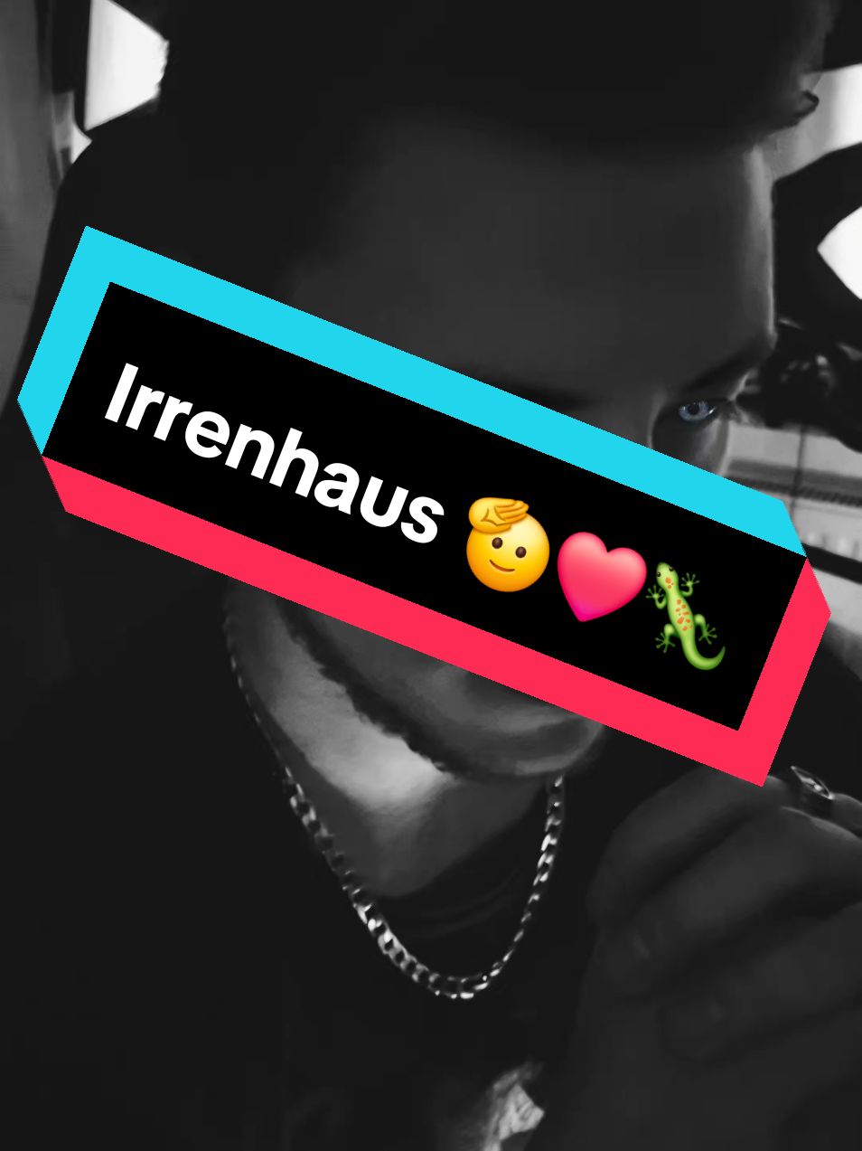 @🦎 Mr.Gecko 🦎
