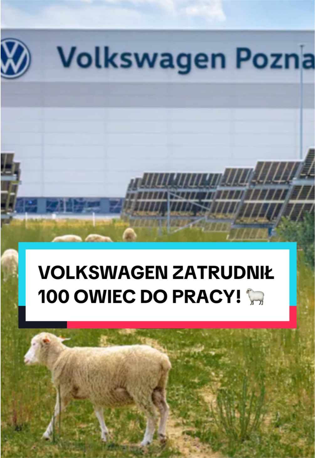 @pandawojtekyt
