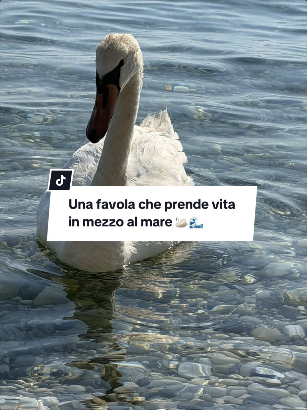 @ZiaRob 🙈