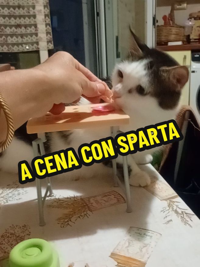 @giovanna testa