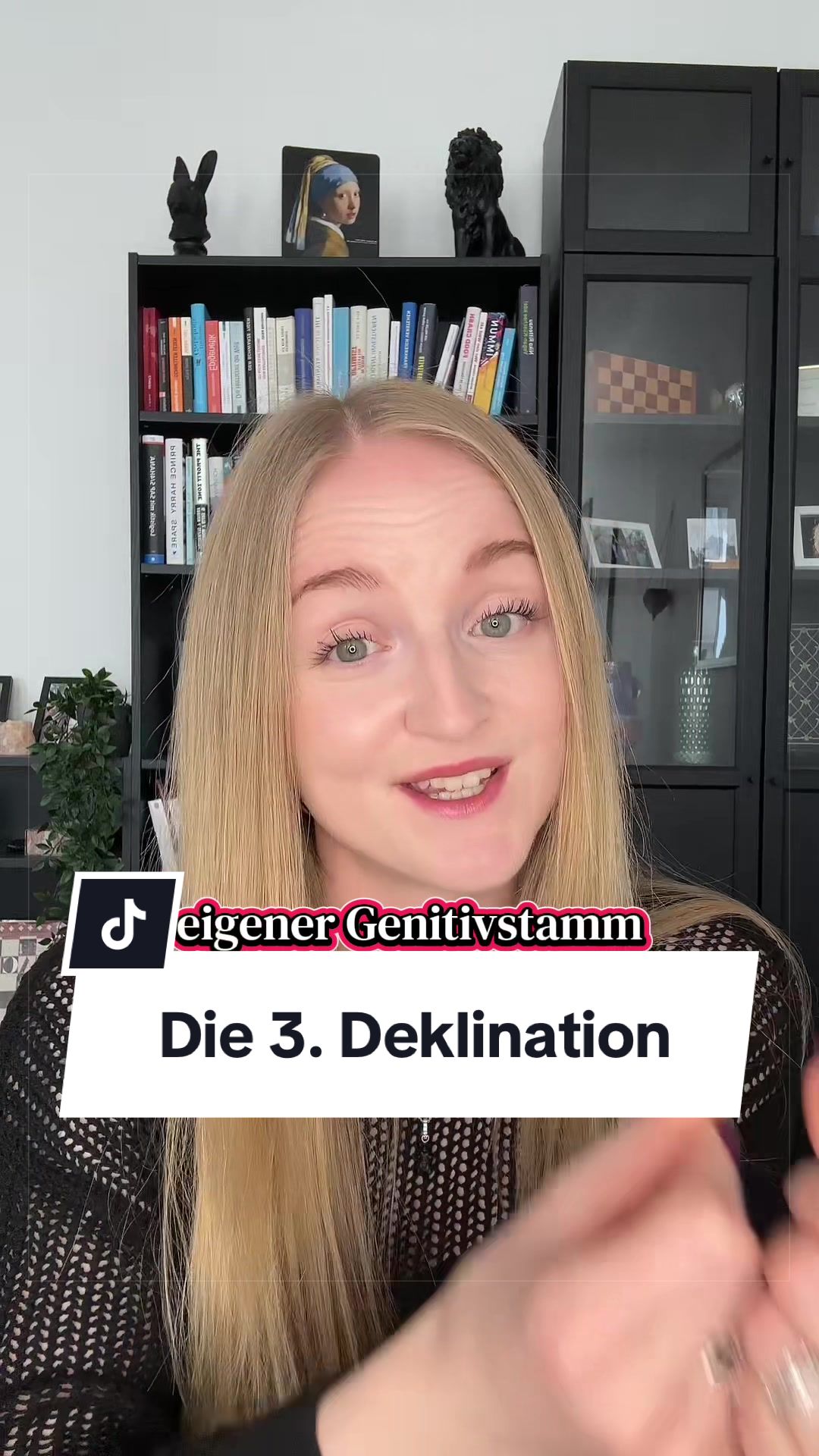 @Languaid - deine Sprachenhilfe