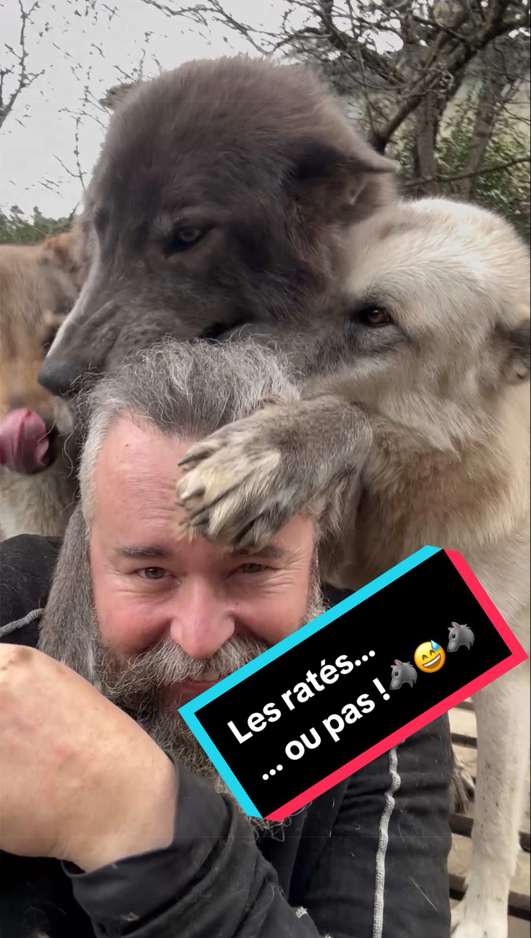 @🐺 Ragnar_et_sa_meute 🐺