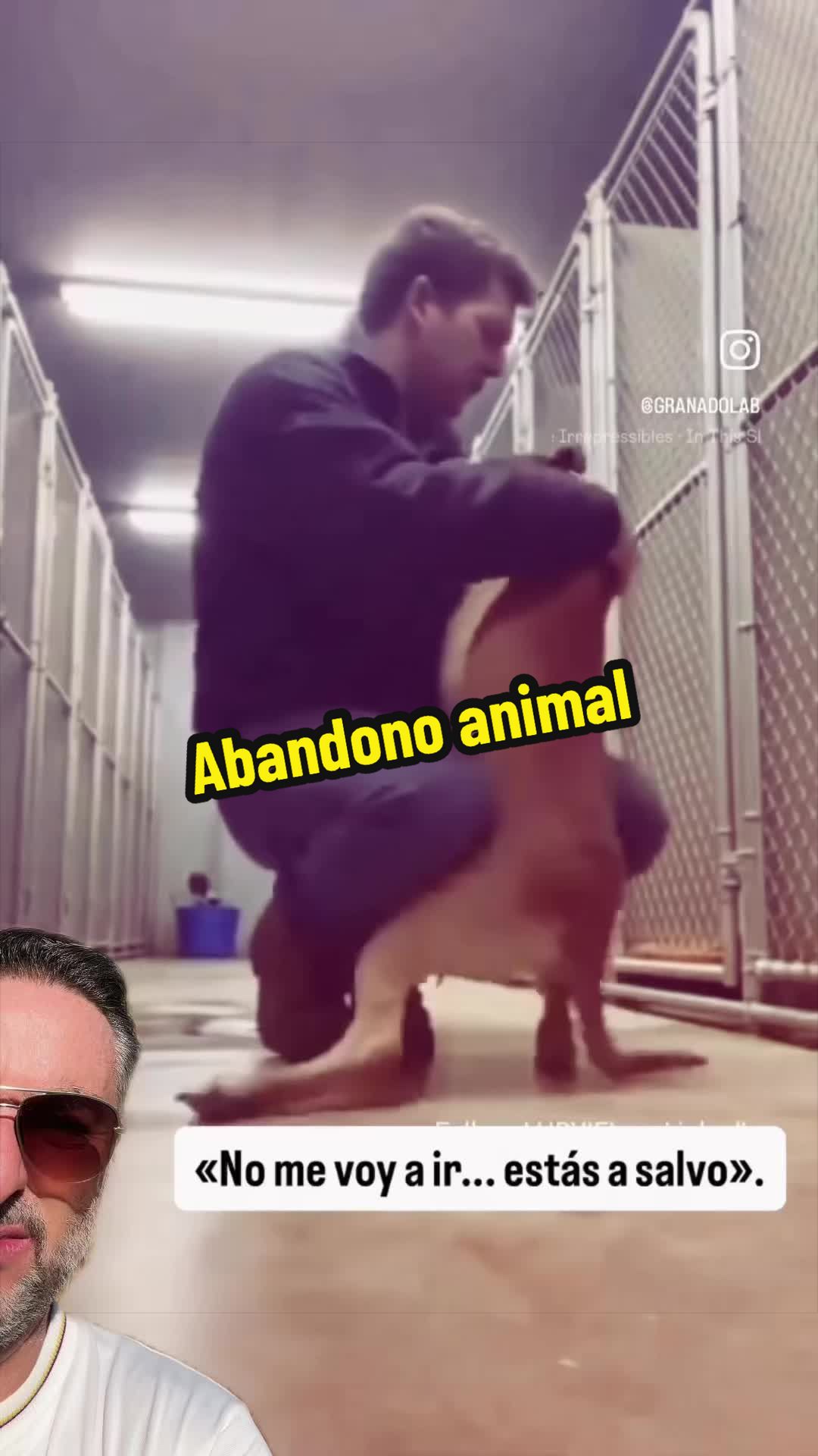 @🙋♂️ #elabogadodetiktok