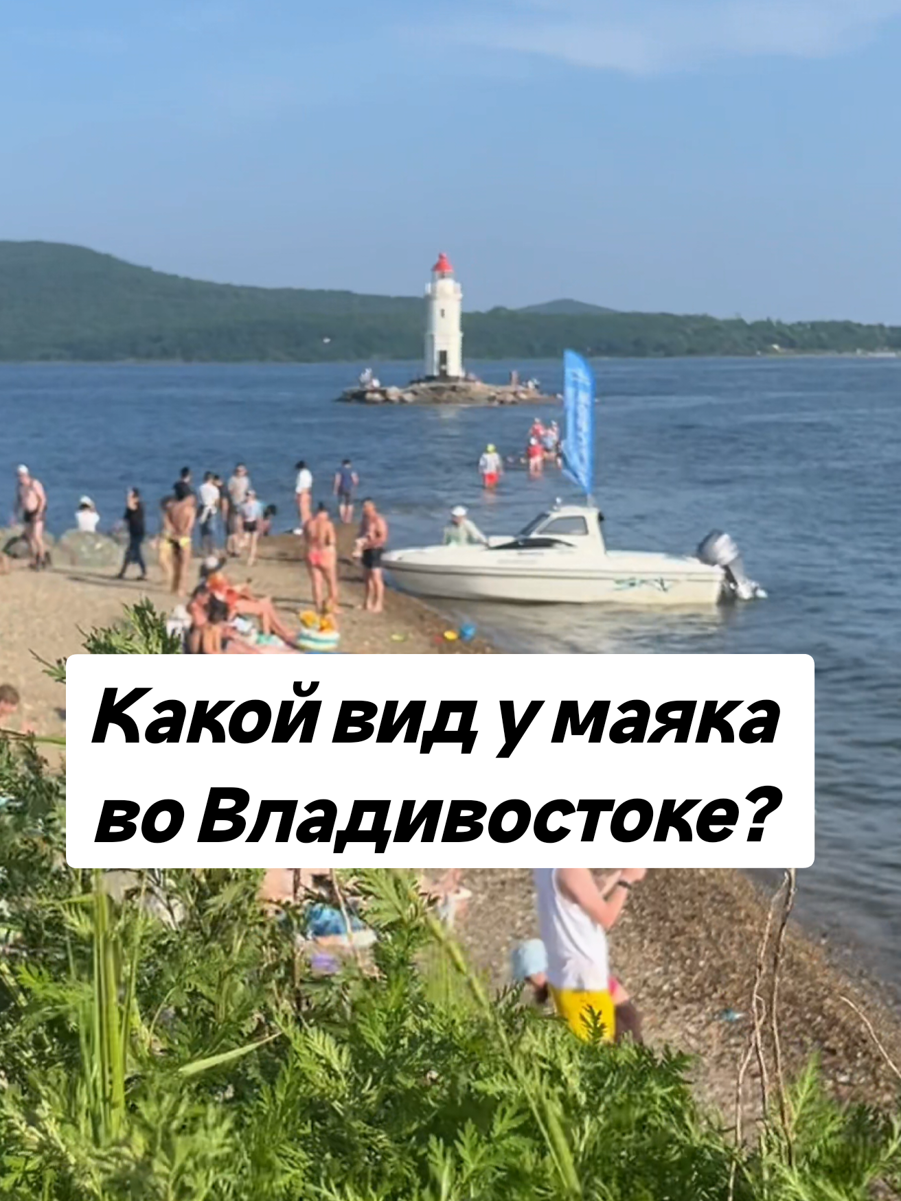 @Елена Шкода