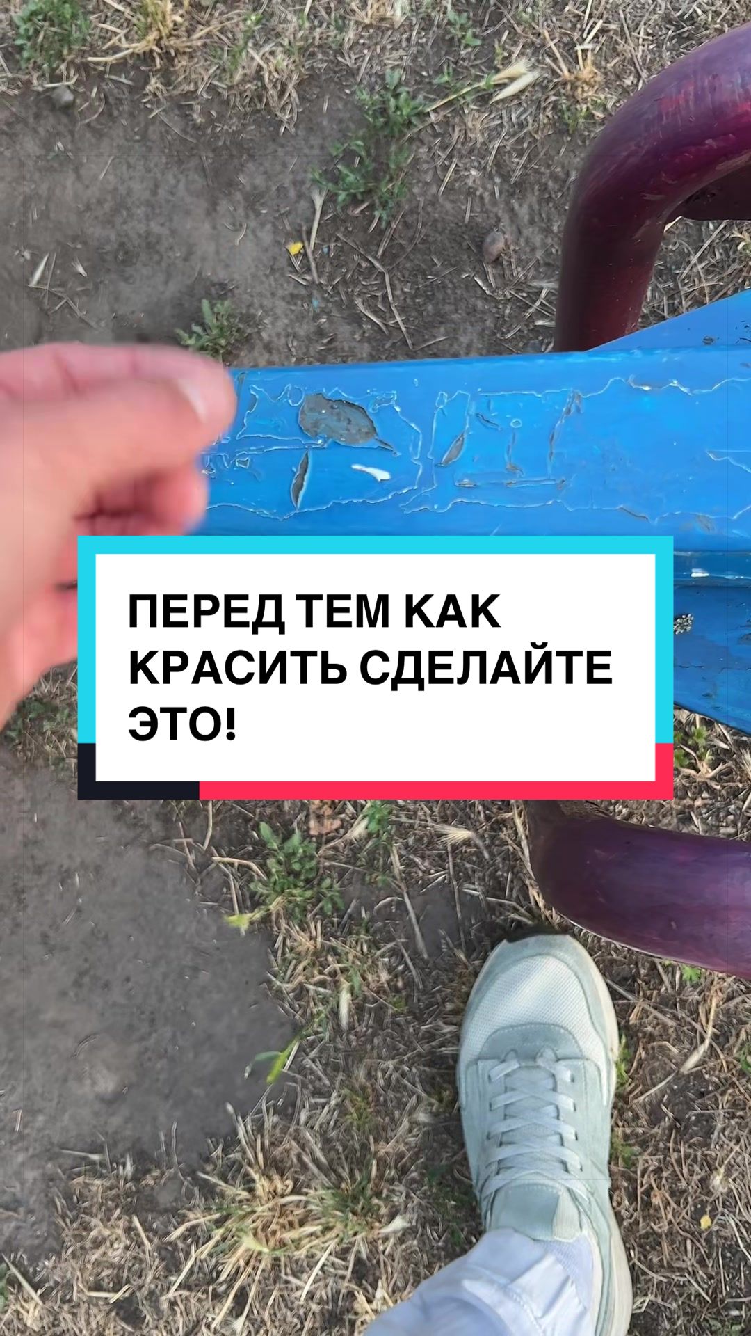 @laifhak_mozgi