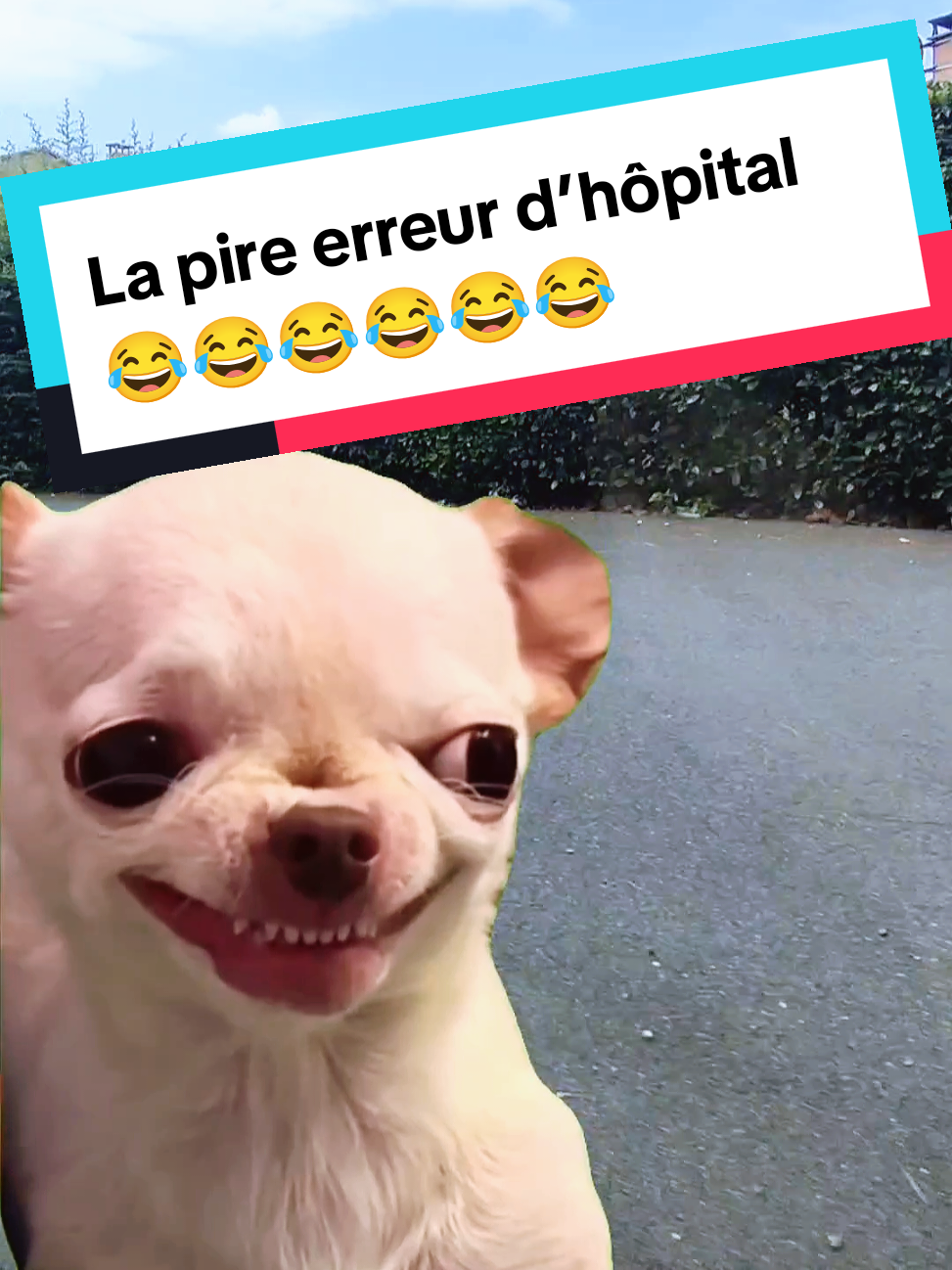 @𝘼𝙣𝙞𝙢𝙖𝙡𝙑𝙞𝙗𝙚