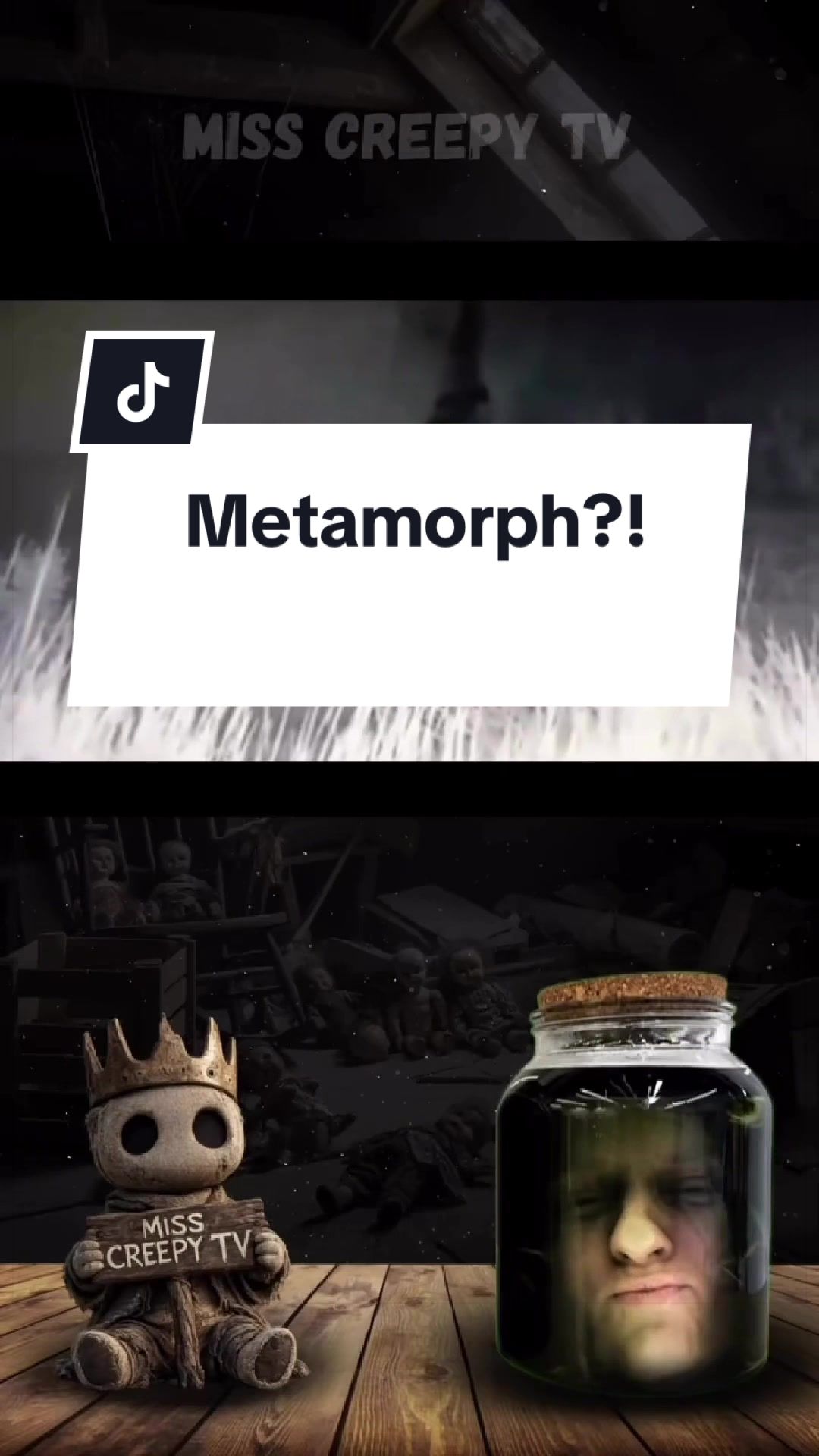 @Miss Creepy Tv