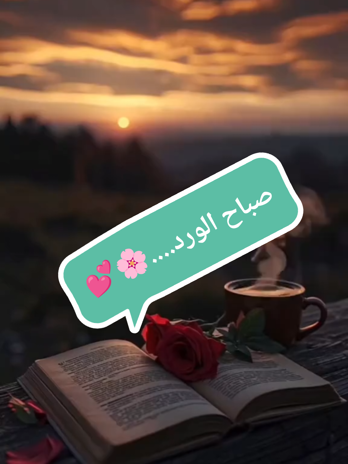 @صدى الصمت 🌸