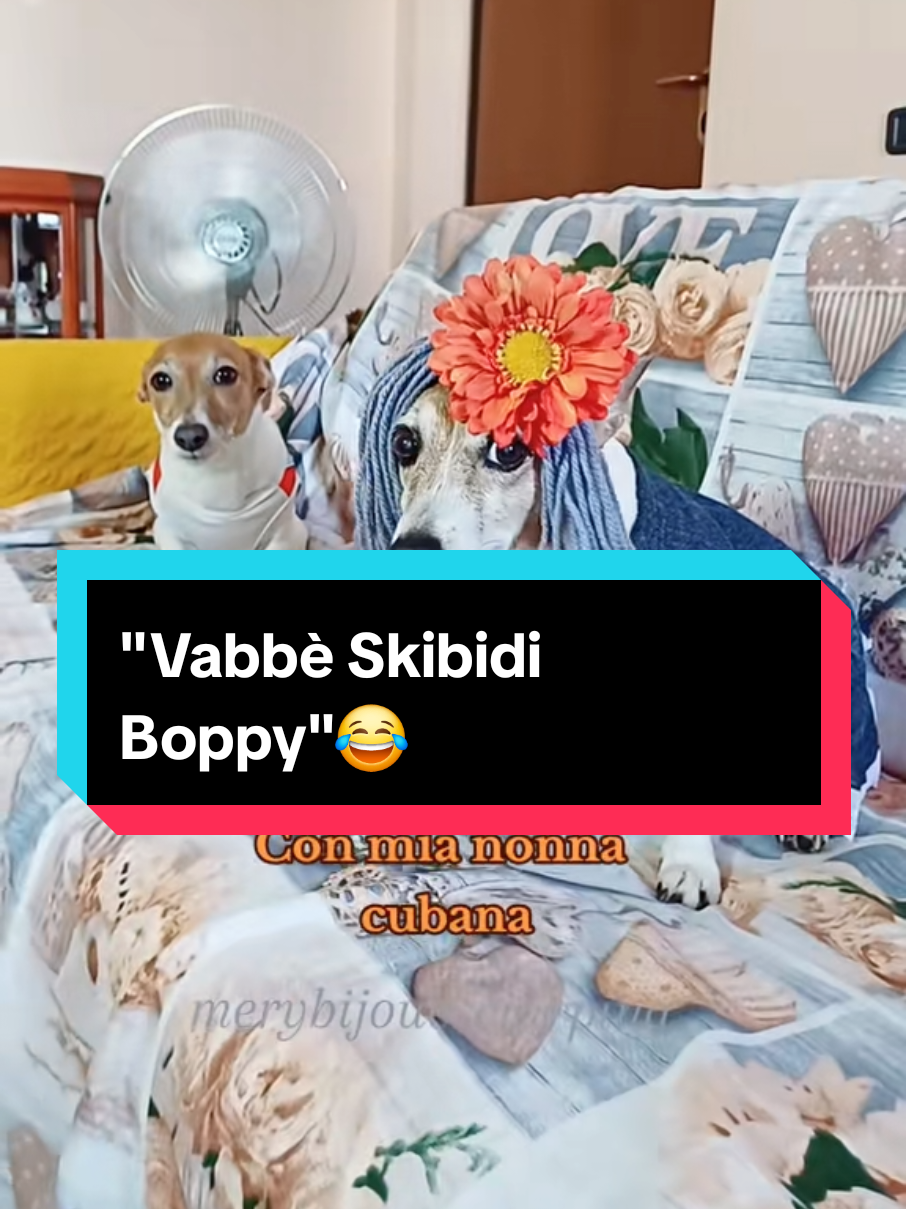 @MeryBS_Official