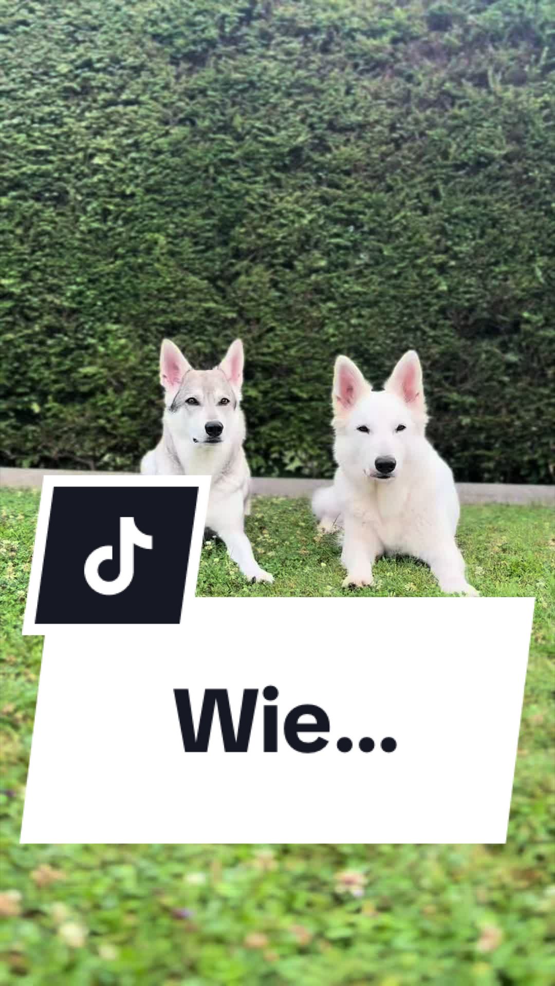 @Coco & Ylvi