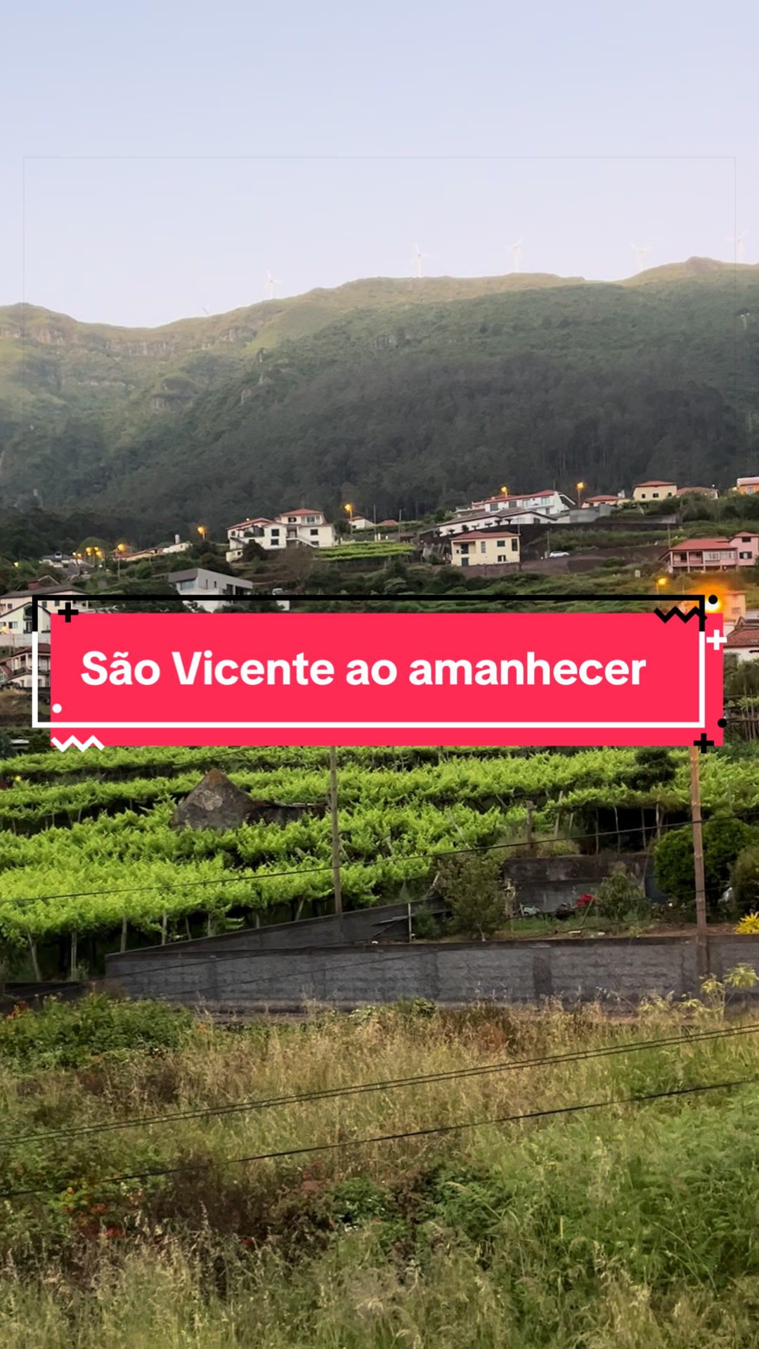 @Graca.Madeira