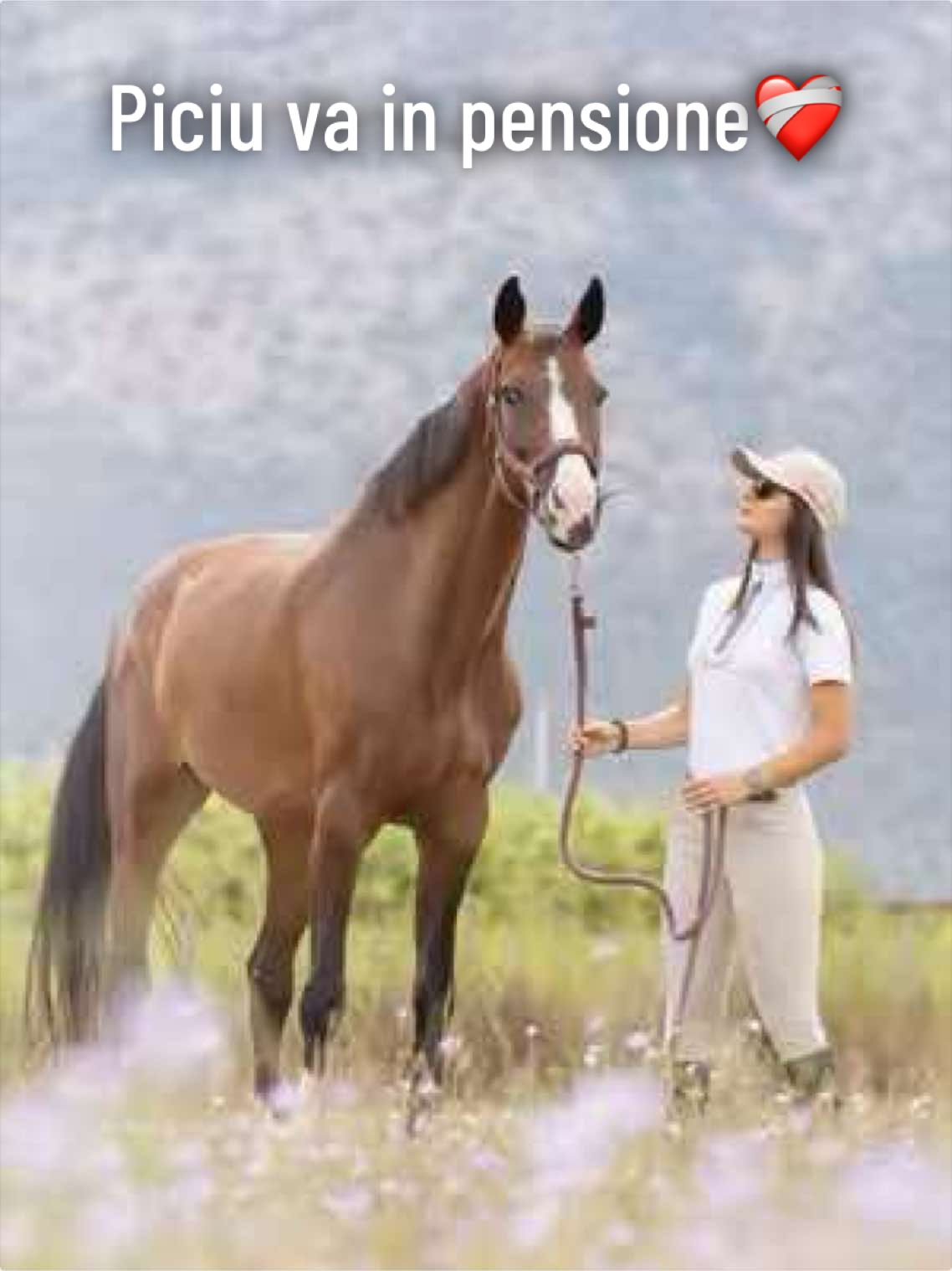 @Fabiana Tuccillo🇮🇹🐴🫀