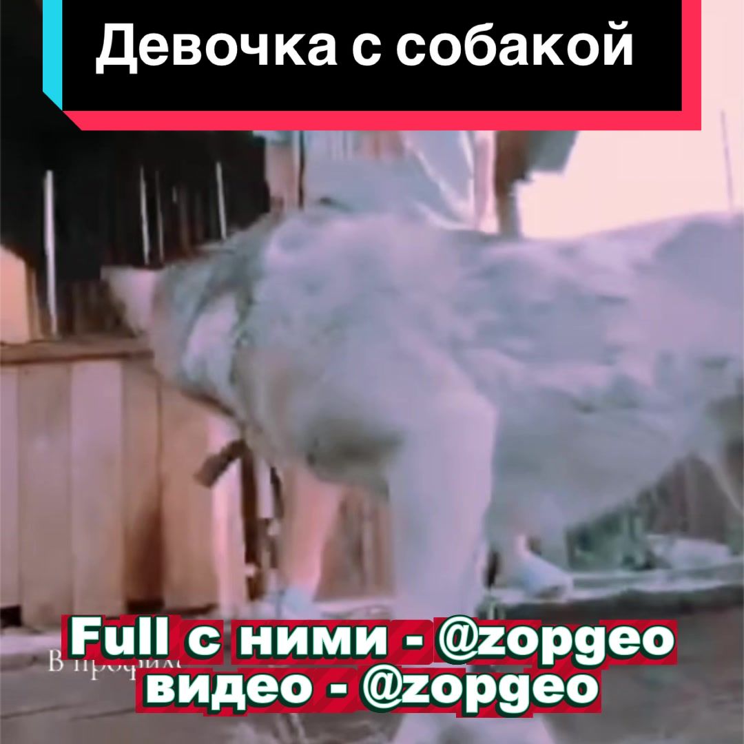 @СМОТРИ ПРОФИЛЬ