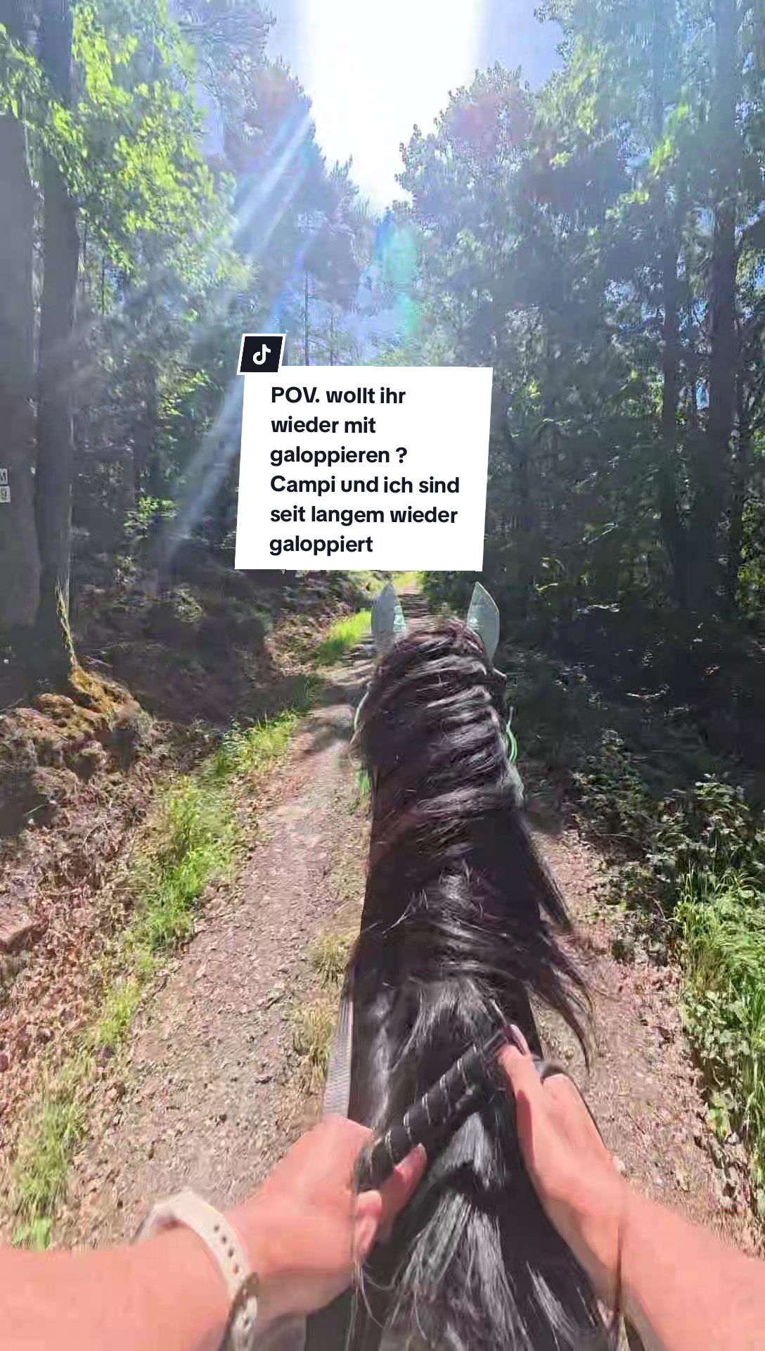 @Caro_Sofie_Offenstallliebe