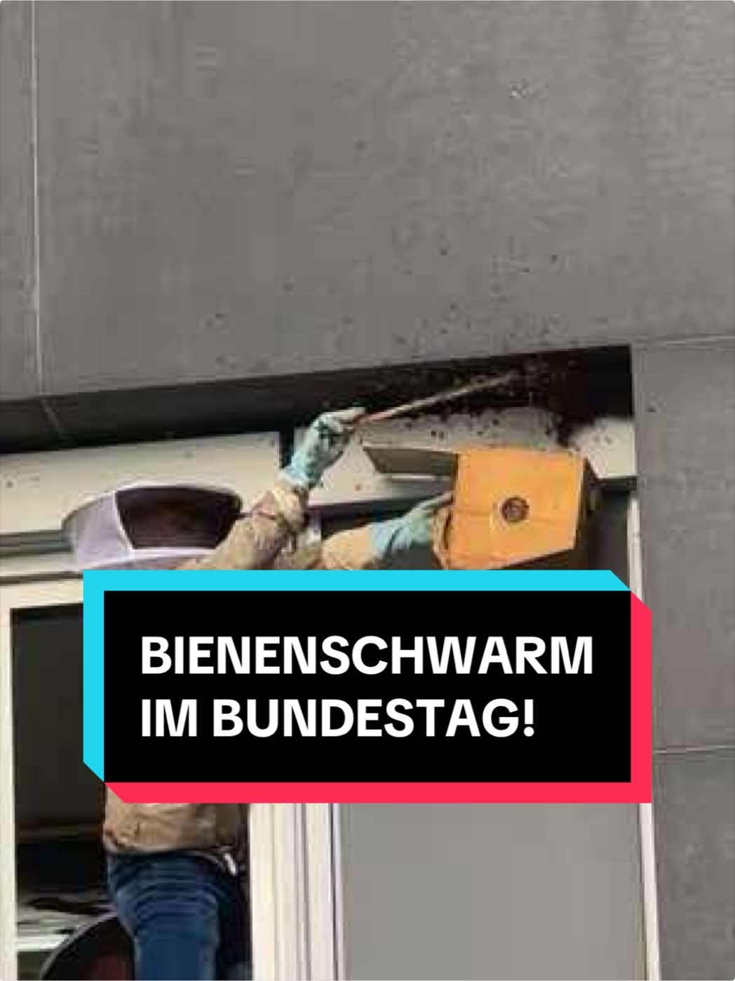 @Grüne im Bundestag