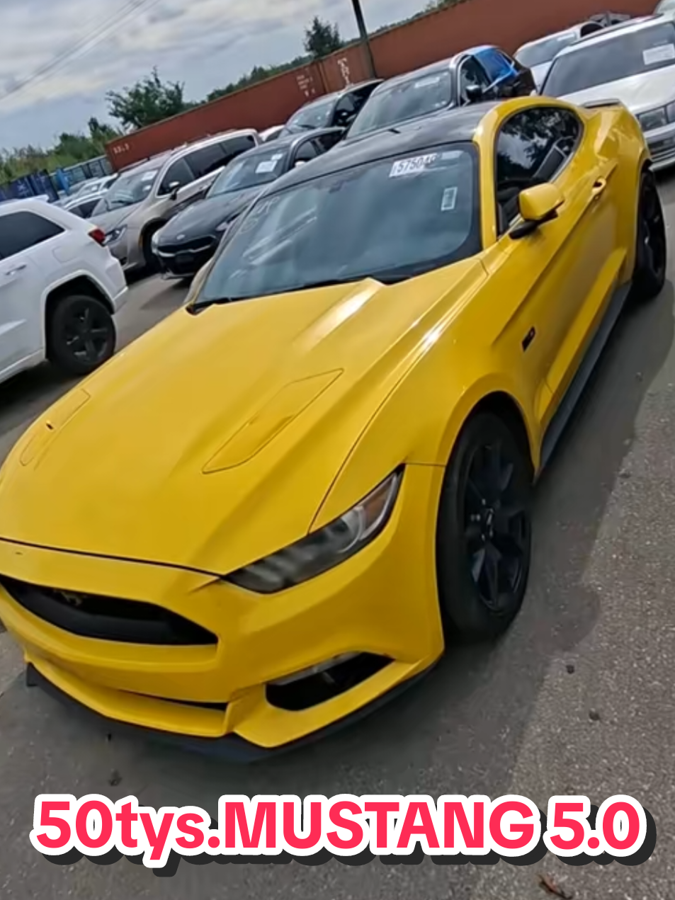 @Marcinzmotoleader