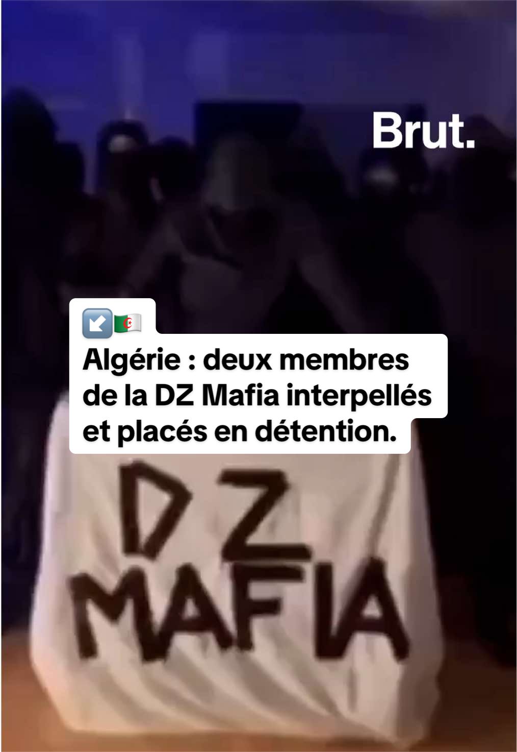 @Brut. Afrique