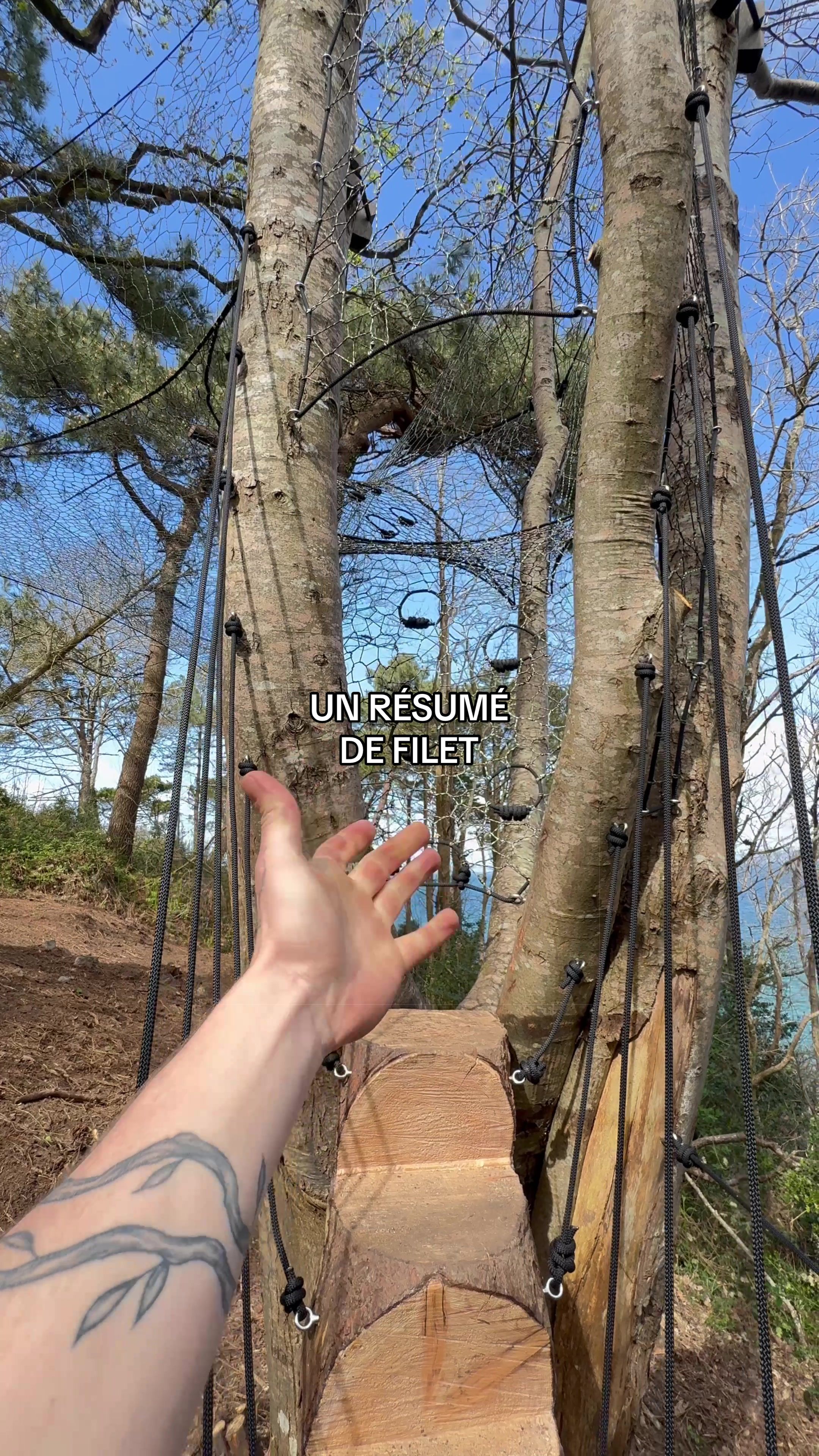 @Wildtreenet