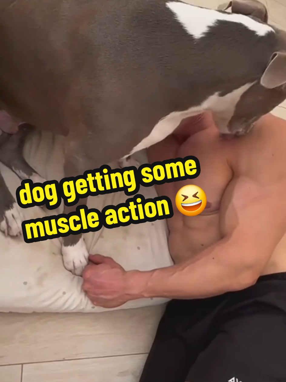 @BeautifulMenOfTikTok