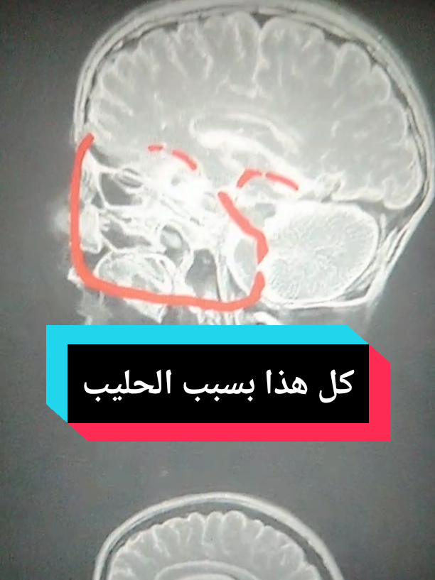 @Free Minds | العقول المتحررة💡
