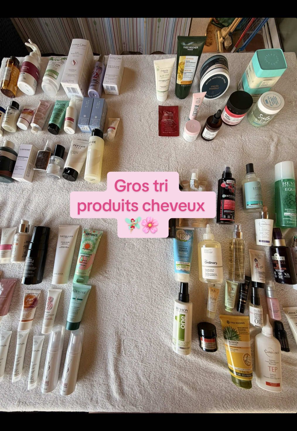 @ALICE LOREN 🎀