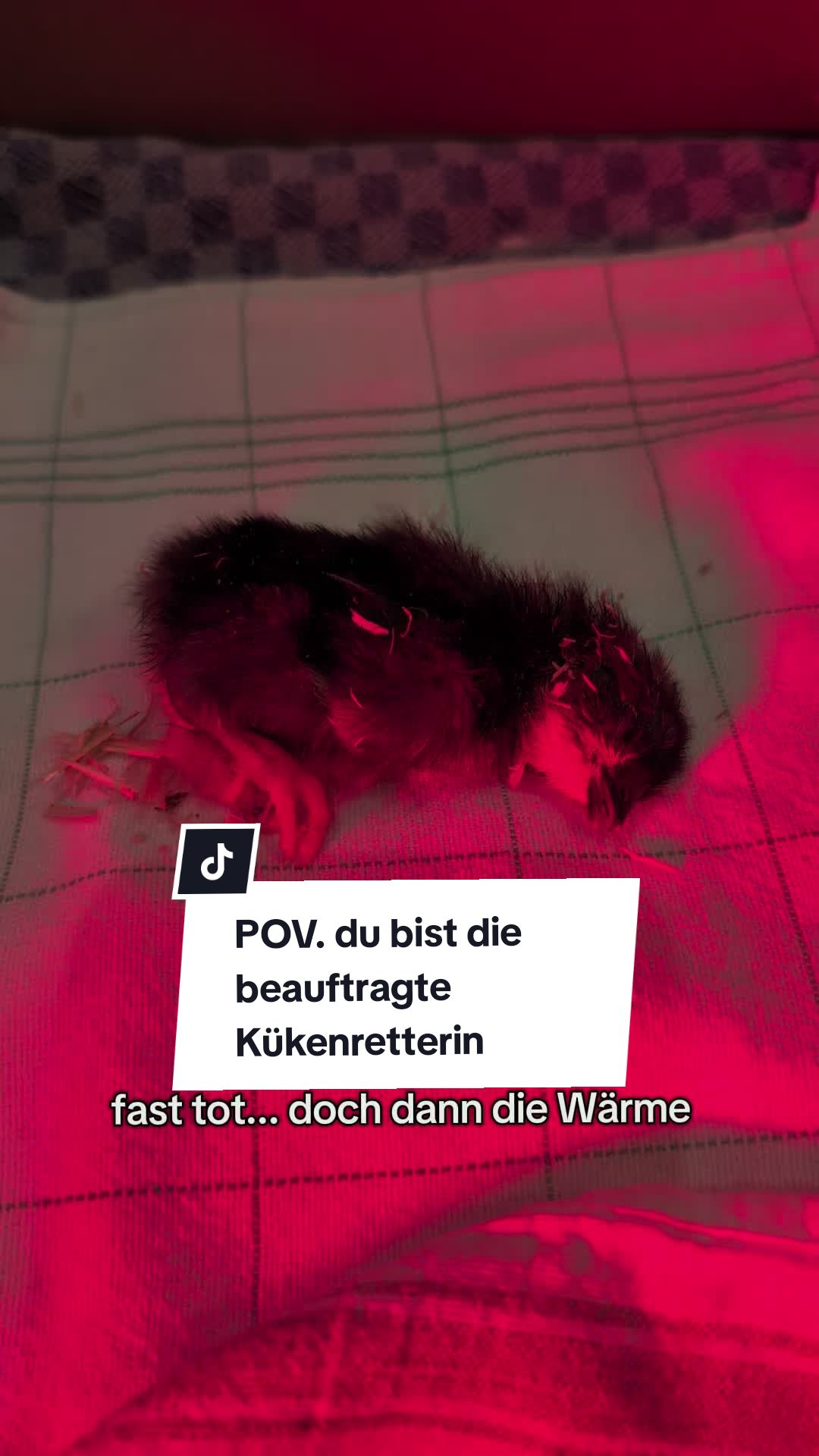 @Caro_Sofie_Offenstallliebe