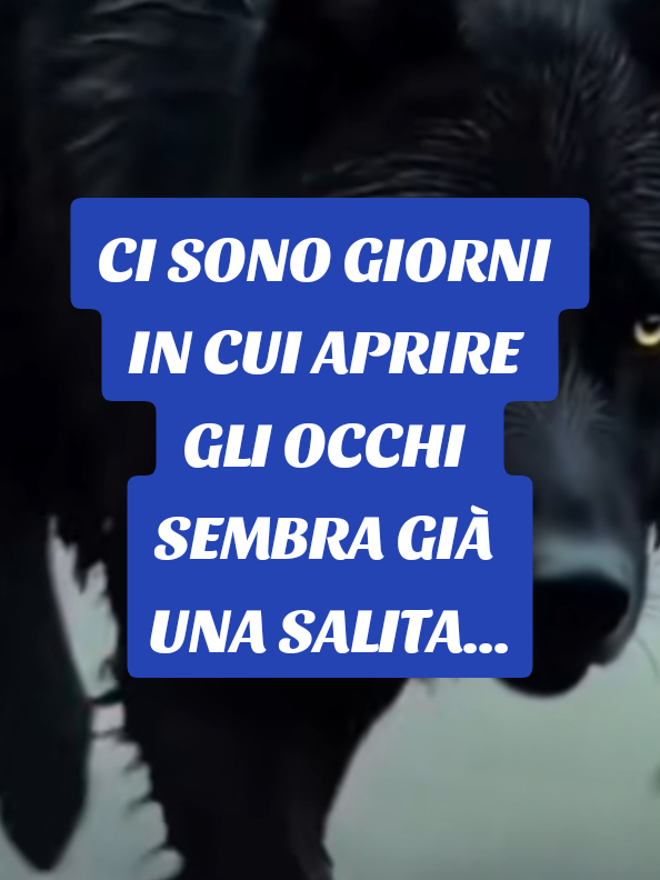 @ALESSANDRO_IL_ROMANO