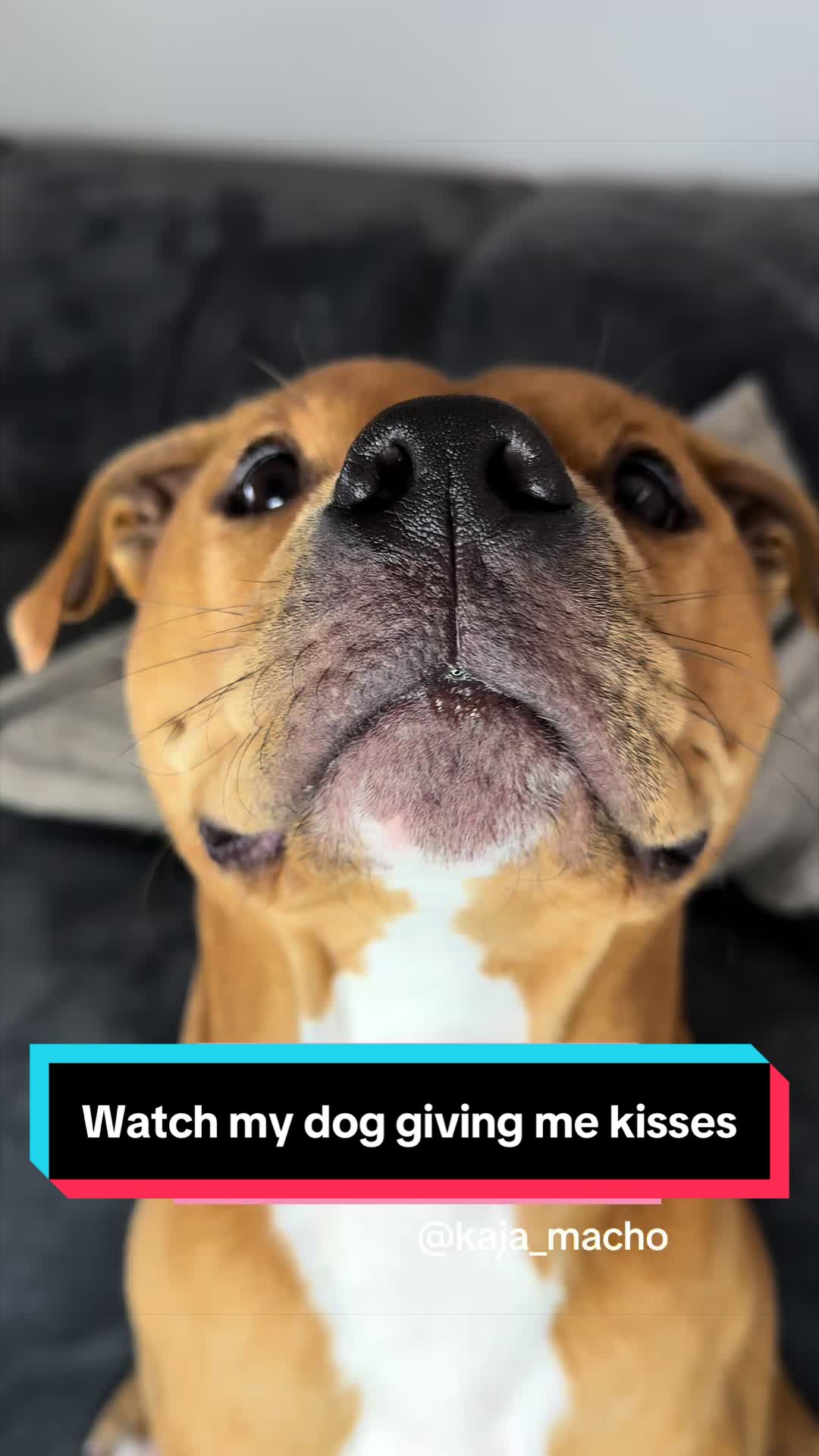 @Kaja & Macho 🥰