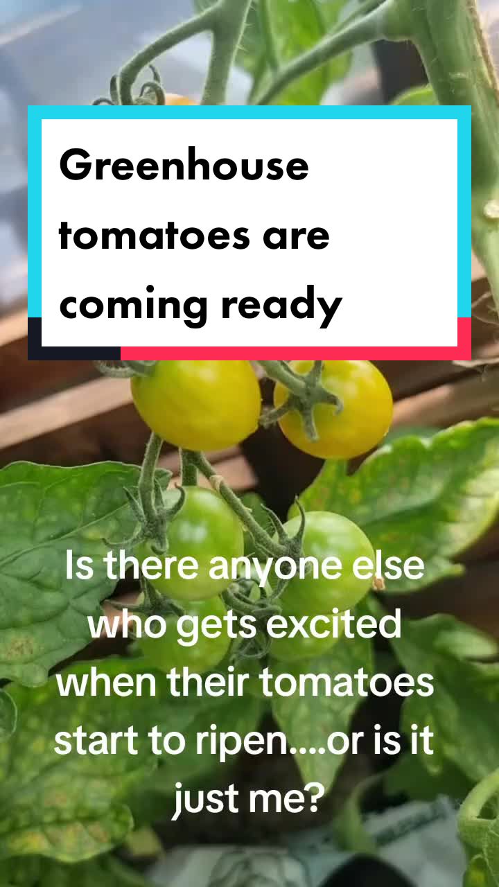 @GrowFruitandVeg