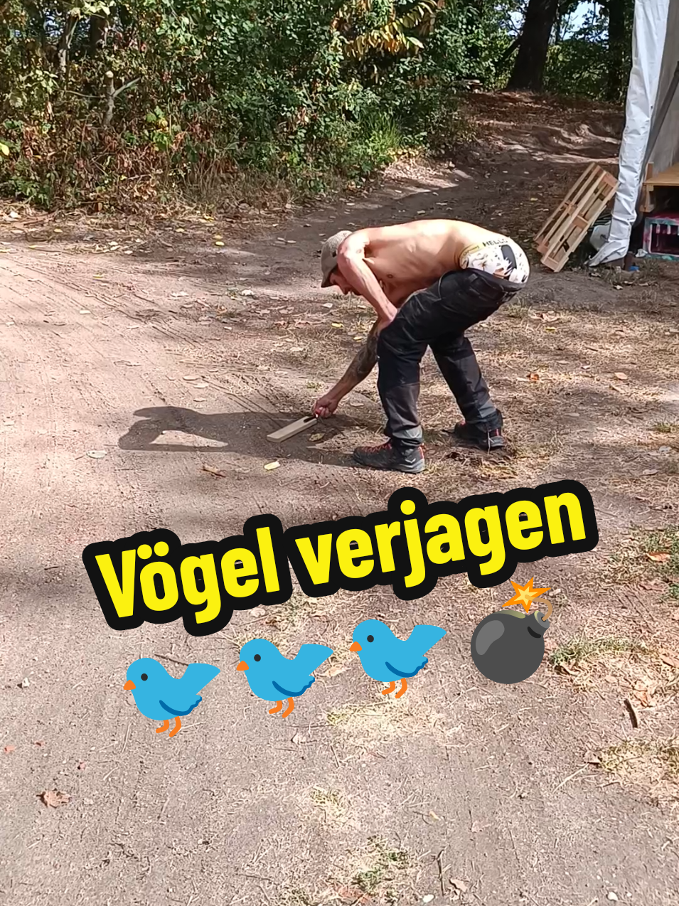 @berndout