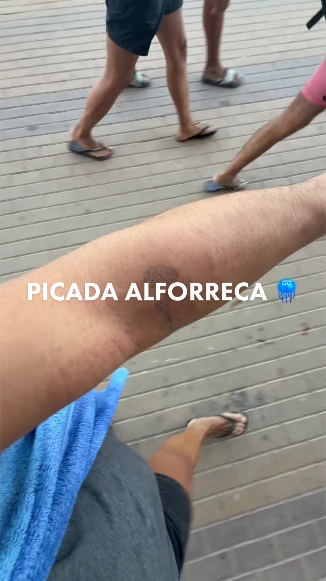 @Manel Oliveira ✨