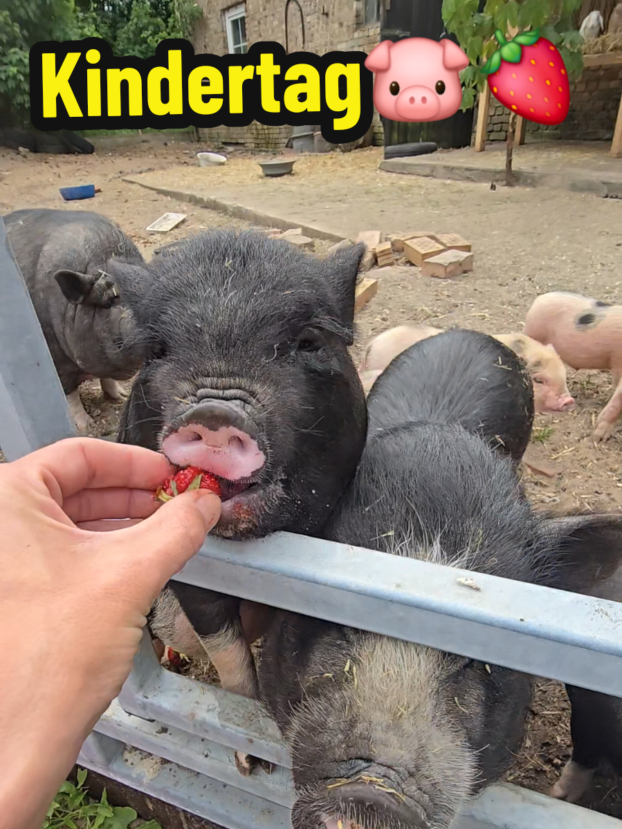 @👩&zwj;🌾 Farmgirl 👩&zwj;🌾