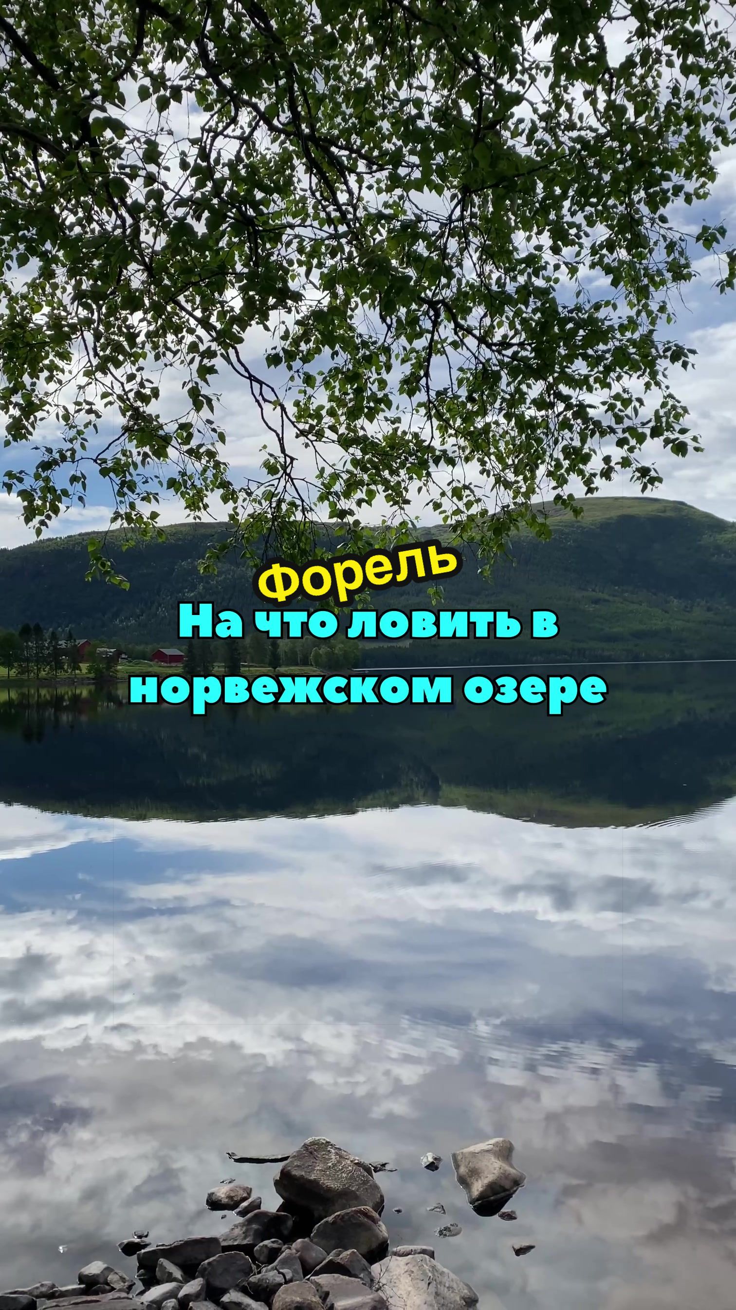 @RybakAS Norway