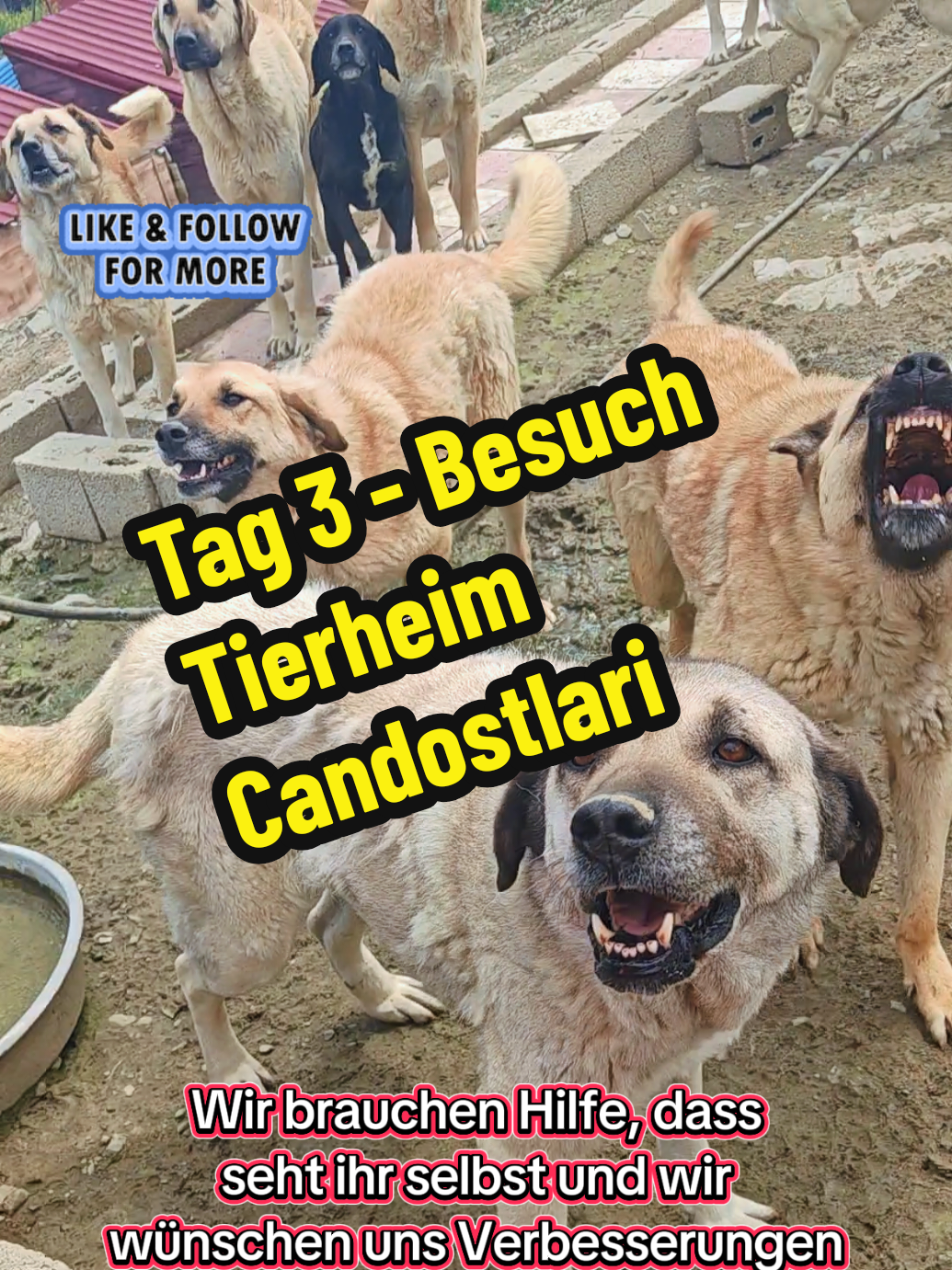 @TSV Candostlari-Beste Freunde